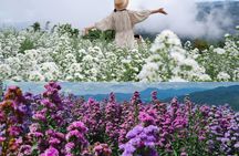 Flower Gardens and Dantewada Waterfall Park full-day private excursion