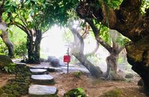 Flower Gardens and Dantewada Waterfall Park full-day private excursion