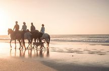 Essaouira excursion with horse ride from Marrakech