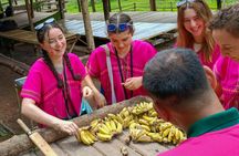 Half day tour to admire elephants and enjoy Thai nature