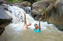 Half day tour to admire elephants and enjoy Thai nature