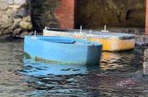 Amalfi Coast Private Boat Trip with Pickup