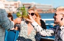 Helsinki archipelago sightseeing cruise