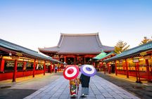 Tokyo full-day tour with private driver and local guide