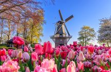 Keukenhof Gardens full-day tour with Flower Parade and optional cruise