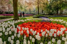 Half-day tour to Keukenhof Gardens with optional canal cruise