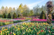Half-day tour to Keukenhof Gardens with optional canal cruise