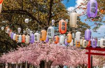 Tokyo private and customisable guided food tour