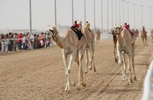 4-hour tour in the desert with Zekreet and Richard Serra Sculpture