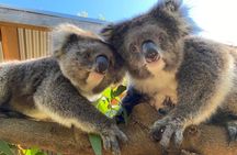 Adelaide Zoo General Admission Tickets