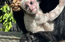 Adelaide Zoo General Admission Tickets