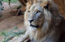 Zoo Atlanta General Admission Ticket
