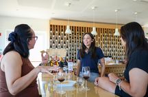 Small group tour to Évora and Alentejo wine region from Lisbon