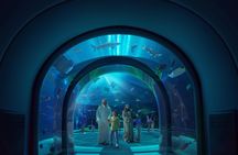 Yas Island Abu Dhabi, access to 4 parks
