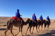 Agafay Desert tour with camel ride, dinner and live music