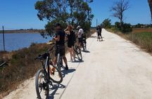 Guided bike tour through Ria Formosa Natural Park