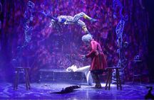 Magic World - Magic Festival Variety Show