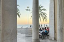 Guided tour of Nice's historical and cultural highlights