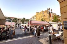 Guided tour of Nice's historical and cultural highlights