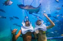 Sea trek experience with diving helmet in Los Cristianos