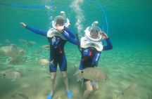 Sea trek experience with diving helmet in Los Cristianos