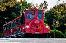 City Sightseeing 24-hour hop-on hop-off bus tour in Santander