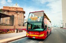 City Sightseeing hop-on hop-off  bus tour of Abu Dhabi