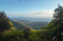 Viannos, Simi forest and ancient sanctuary tour with a local guide