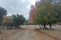 Viannos, Simi forest and ancient sanctuary tour with a local guide