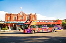 City Sightseeing hop-on hop-off bus tour of Hue