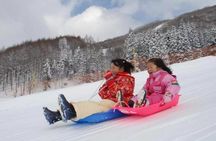 1-day ski trip to Mount Fuji Yeti Snow Resort and hot spring