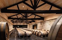 Wine tasting and vineyard guided tour from Nice