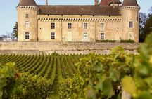 Wine tasting and vineyard guided tour from Nice