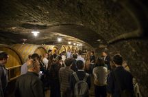 Wine tasting and vineyard guided tour from Nice