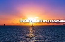 Valencia 5 attractions MegaPass Premium with Oceanogràfic and Science Museum