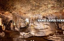 Mallorca 4 attraction MegaPass with Palma Cathedral, Aquarium and more