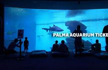 Mallorca 5 attraction MegaPass with Palma Cathedral and Royal Palace