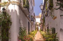 Marbella and Mijas private tour from Malaga