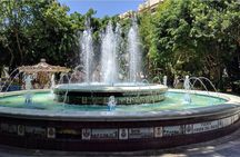 Marbella and Mijas private tour from Malaga