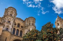 Malaga private tour from Marbella