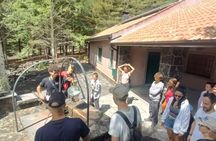 Half-Day 4x4 Tour of Mount Etna with Lava Cave and Local Tastings