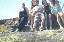 Half-Day 4x4 Tour of Mount Etna with Lava Cave and Local Tastings
