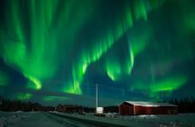 Private northern lights tour with Rovaniemi's original Aurora hunters
