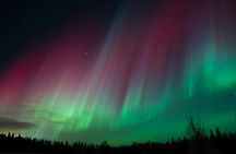 Private northern lights tour with Rovaniemi's original Aurora hunters