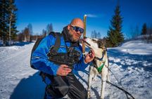 Self-Driving Husky Mushing Winter Adventure with BBQ from Rovaniemi