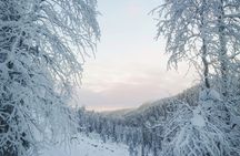 Korouoma frozen waterfalls small-group hiking experience and BBQ