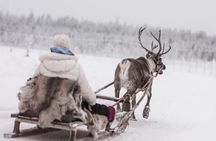 Reindeer safari at a 200-year-old farm with 2.5 km sled ride