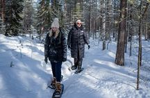 Snowshoe small-group adventure with BBQ at Vikaköngäs from Rovaniemi