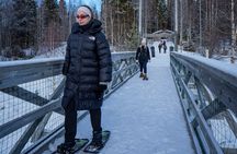 Snowshoe small-group adventure with BBQ at Vikaköngäs from Rovaniemi