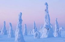 Riisitunturi wilderness small-group expedition with BBQ from Rovaniemi